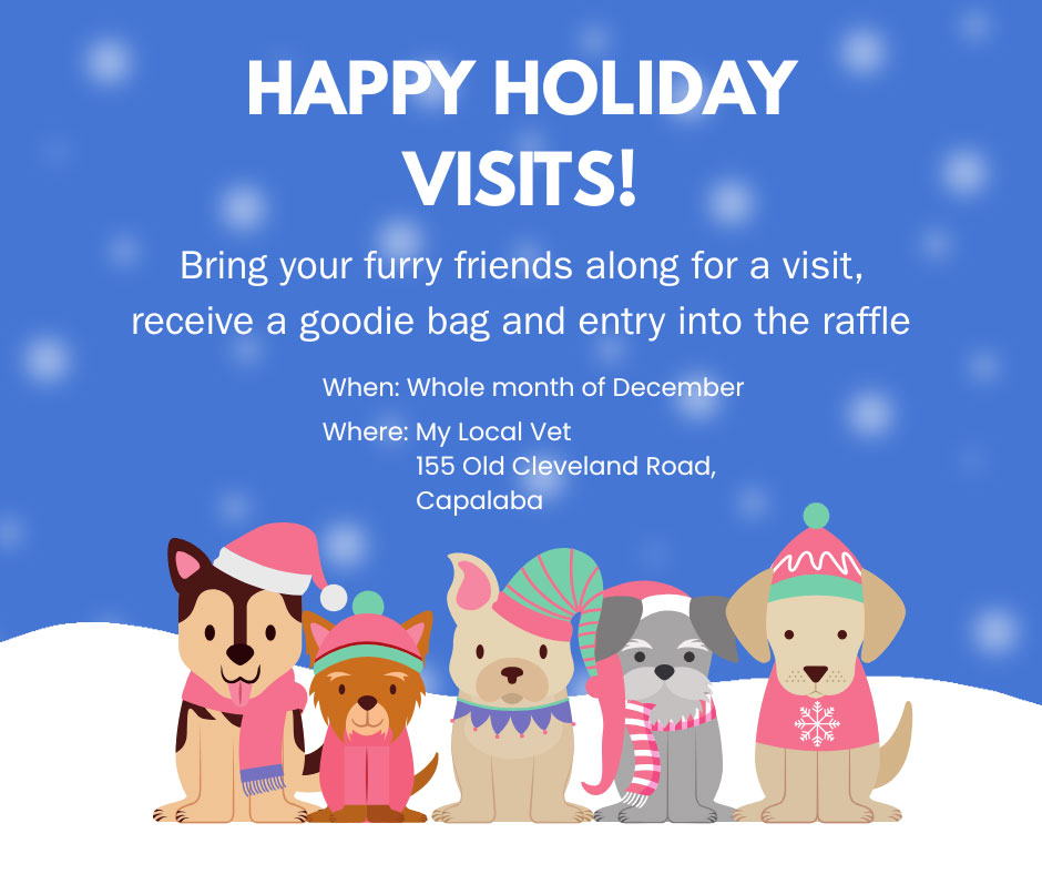 Current Promotions - HAPPY HOLIDAY VISITS!
