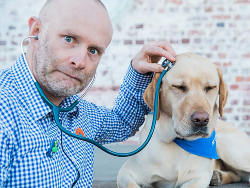My Local Vet - Health Checks My Local Vet - Health Checks