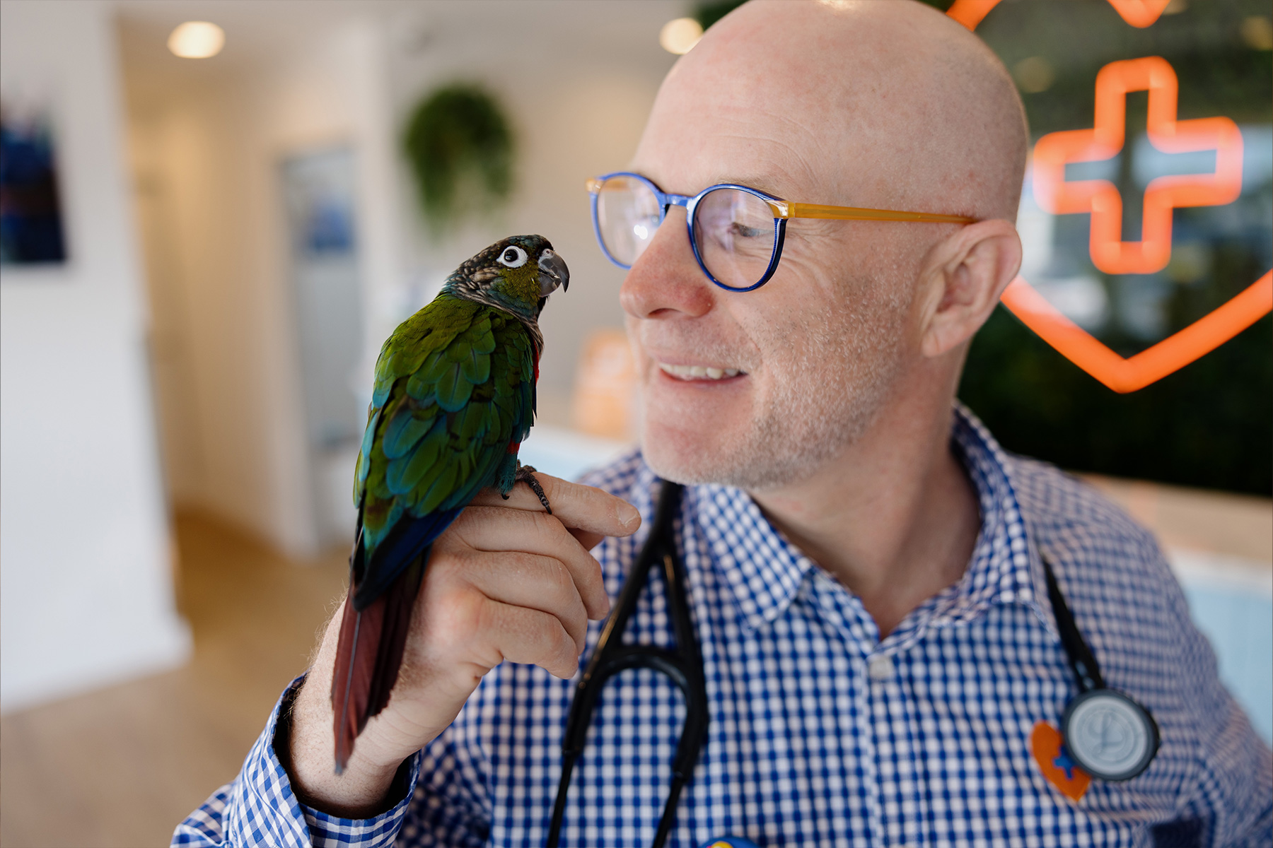 My Local Vet - Dr Sam and Bird Banner