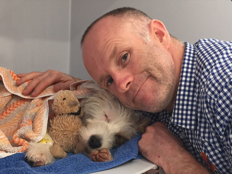 My Local Vet - Veterinary Surgery Care My Local Vet - Veterinary Surgery Care