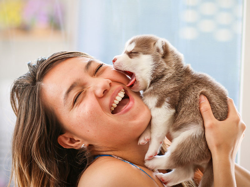 My Local Vet - Early Finish Vaccinations