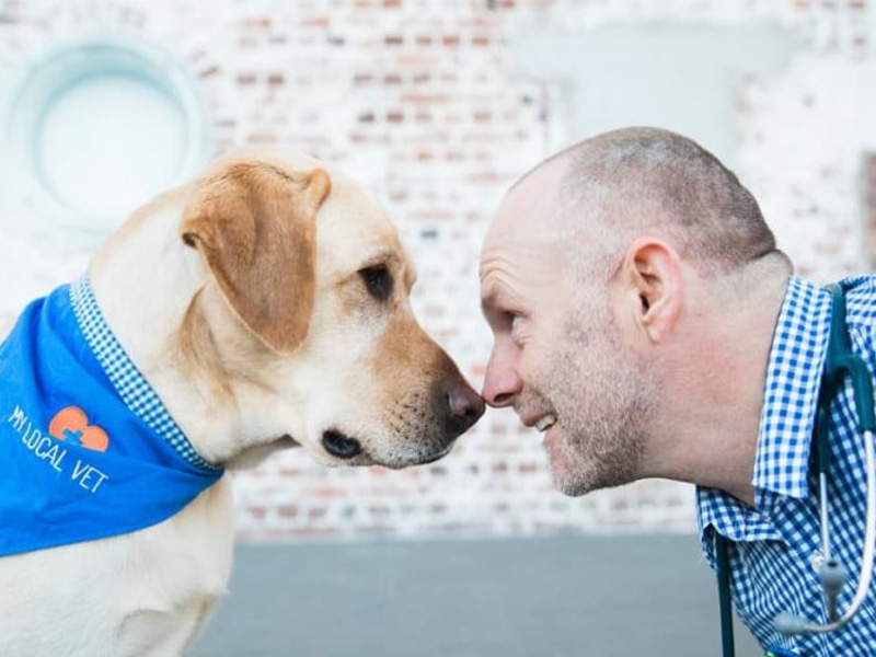 My Local Vet - Why Choose My Local Vet My Local Vet - Why Choose My Local Vet